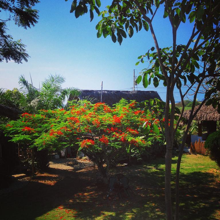 Hostal Los Orishas Ayampe Zewnętrze zdjęcie
