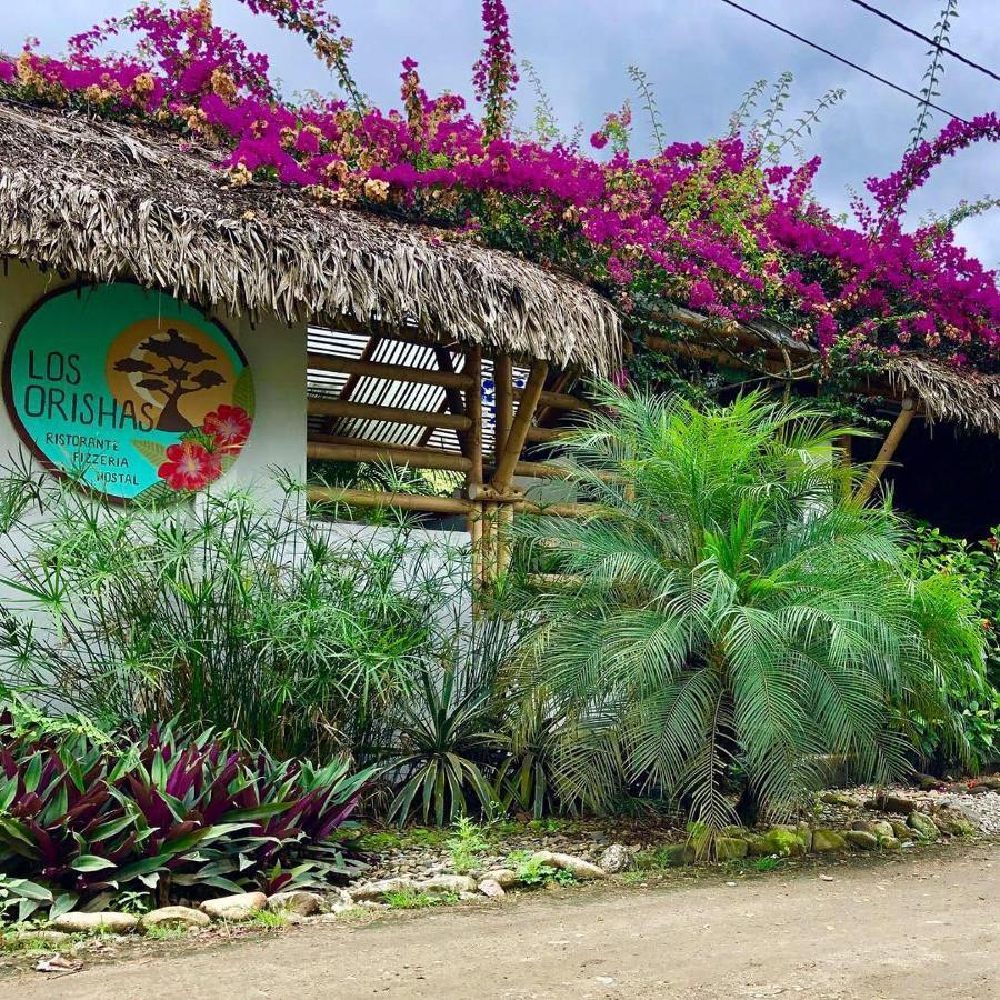 Hostal Los Orishas Ayampe Zewnętrze zdjęcie